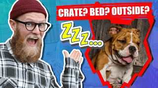 Where Should My ENGLISH BULLDOG PUPPY Sleep?