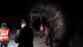 В Этой Пещере Обнаружили Самое Большое Змеиное Логово В Мире