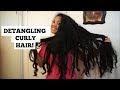 HOW TO: Detangle Long Curly Hair | My Detangle Routine