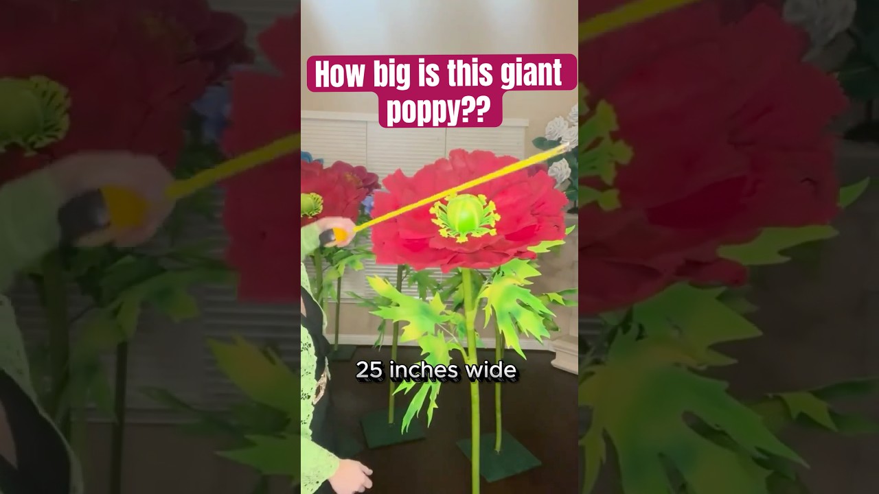 How to make a foam Poppy, 24 inches in diamenter