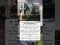 🏔️ O Mistério da Montanha que Escondeu uma Cidade Perdida por Séculos