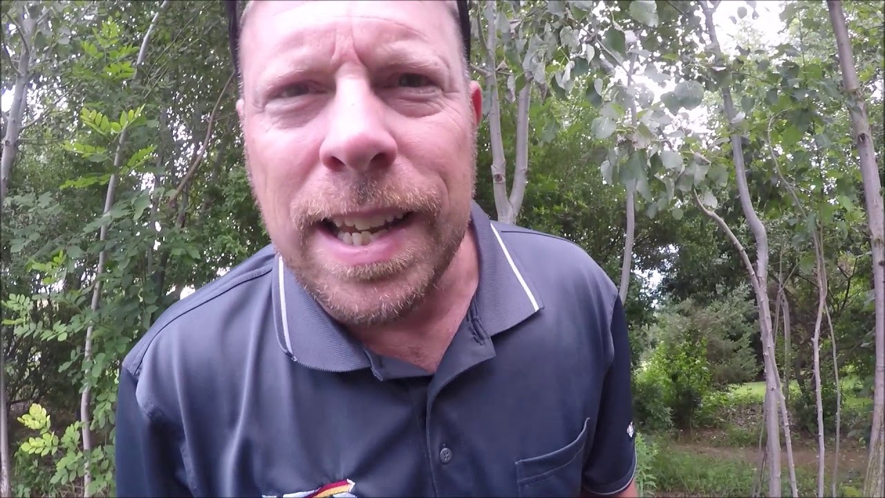 Riding A Four Wheeler Around A Track In The Woods YouTube riding-a-four-wheeler-around-a-track-in-the-woods-youtube