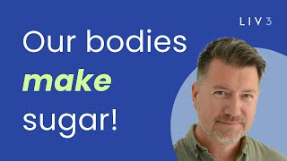 Your Body MAKES Fructose: The Hidden Pathway Behind Cravings &amp; Weight Gain | The Fructose Model 3.0