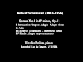 Schumann sonata no1 in f minor op11  nicolas pellon piano