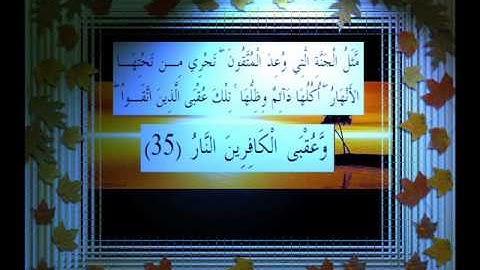 القرآن الكريم سورة الرعد الأية 35 قراءة السديس.wmv