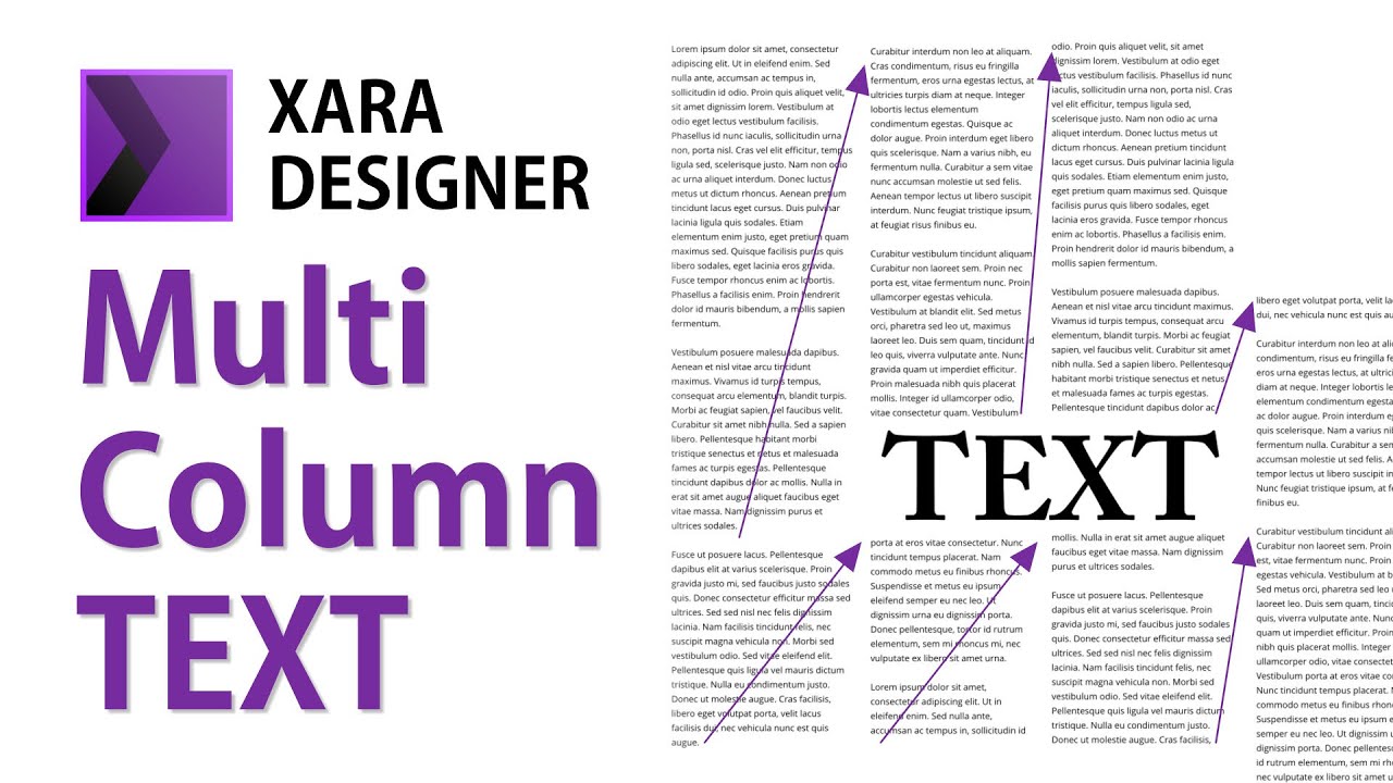 anyone put a comment box on xara web designer anyone put a comment box on xara web designer