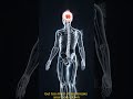 What Happens Inside When You're Stressed #aivisuals #humanbody #educational