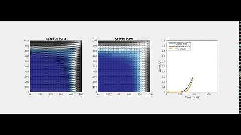 Dynamic coarsening and discontinuous Galerkin