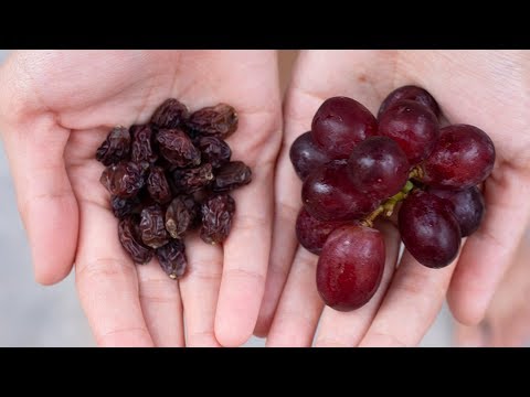 How to Make Raisins from Grapes: A Beginner’s Guide - Fruit Faves