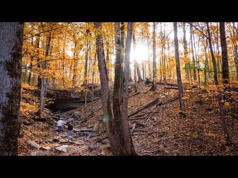 Video: Allegheny nacionalinis miškas: visas vadovas