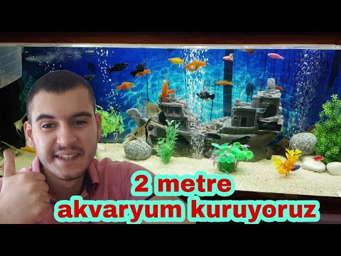 AKVARYUM KURUYORUZ (2 METRE)  #aquarium fish