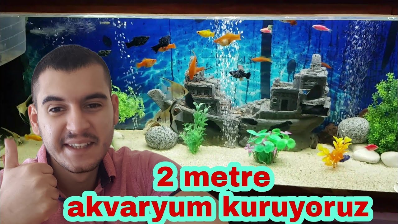 Akvaryum Kuruyoruz 2 Metre Aquarium Fish Youtube