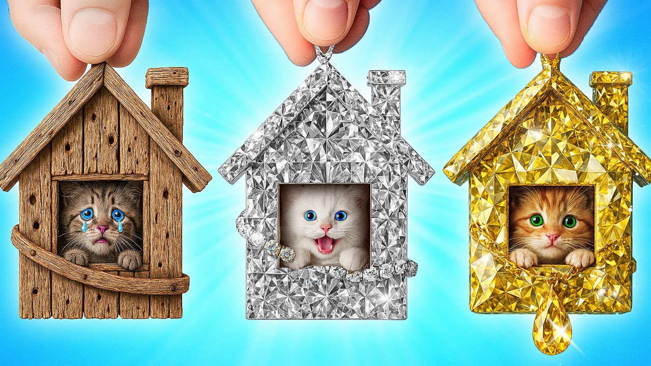 Я Спасла Бездомных Животных | Смешные Моменты от Multi DO Smile