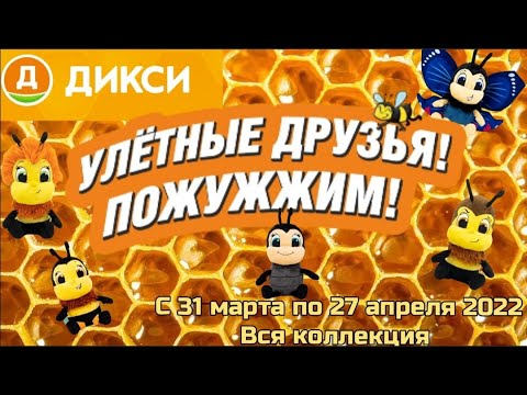 Улетные друзья. Клуб друзей Дикси.
