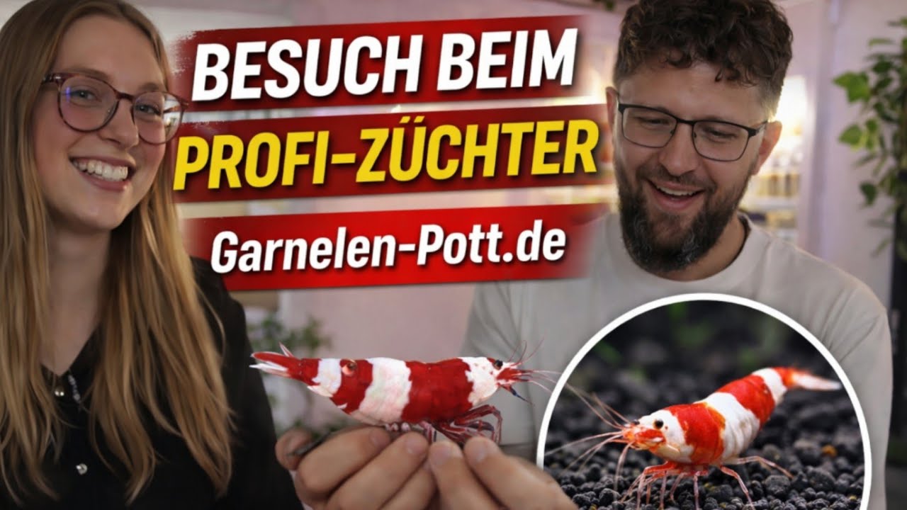 Zu Besuch bei Garnelen Züchter Garnelen-Pott.de