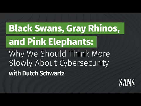 Black Swans, Gray Rhinos, and Pink Elephants: Why We Should Think More Slowly About Cybersecurity