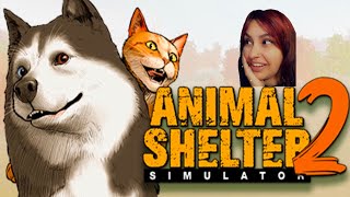 Animal shelter sim!!