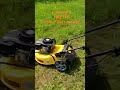 Video Image