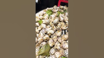 Ốc Hương hấp Xã & Lá chanh #haisanngon #monanduongpho #moiben #deliciousfood #donghanhdoday