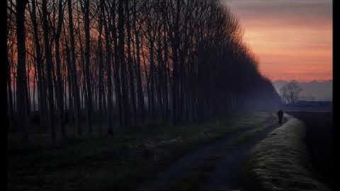 صوت يلامس القلوب #سورة_التغابن #القرآن_الكريم