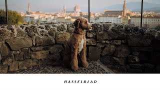 Noticing Florence and Venice | Episode 001  (Hasselblad 907x 100c & XCD 2,5/38V)