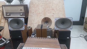 1 cặp loa toàn dải bầu dục Loren Đức 18x26cm( 2.3tr)