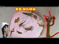 Cuộc Chiến gây cấn giữa bọ ngựa và 4 con mồi - bọ ngựa đánh nhau - mantis fighting