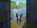 Giant fish magical story videography idea #giantfish #creative #video #funny #videography #shorts
