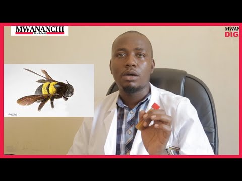 Video: Maandalizi Matamu 5 Ya Msimu Wa Baridi Kutoka Kwa Matango Yaliyokua Na Manjano