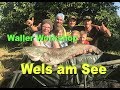 Welsangeln an kleinen Seen und Teichen  / Tauwurm-Pellets-Blutegel / Waller Workshop by Stefan Seuß