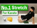 You’re Missing The MOST IMPORTANT Stretch for Karate