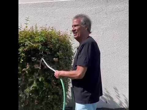 Damn Neighbor Kids | www.bobbycollins.com