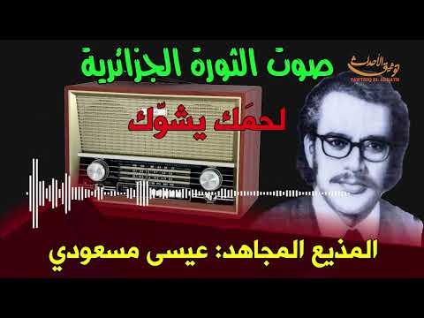 لحمك يشوك استمع إلى صوت الثورة التحريرية بصوت المذيع عيسى مسعودي