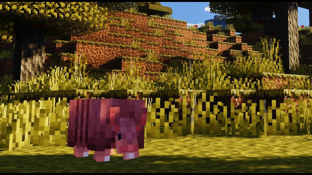 The Beauty of Savanna | Minecraft Ambience