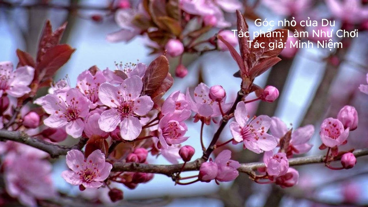 Làm Như Chơi - Phần 34 (Phần cuối: Bứt phá 1 lần & Cần 1 chuyến đi & Hạnh phúc được sẻ chia)