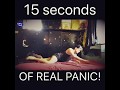 15 Seconds Of Panic EVERY Morning