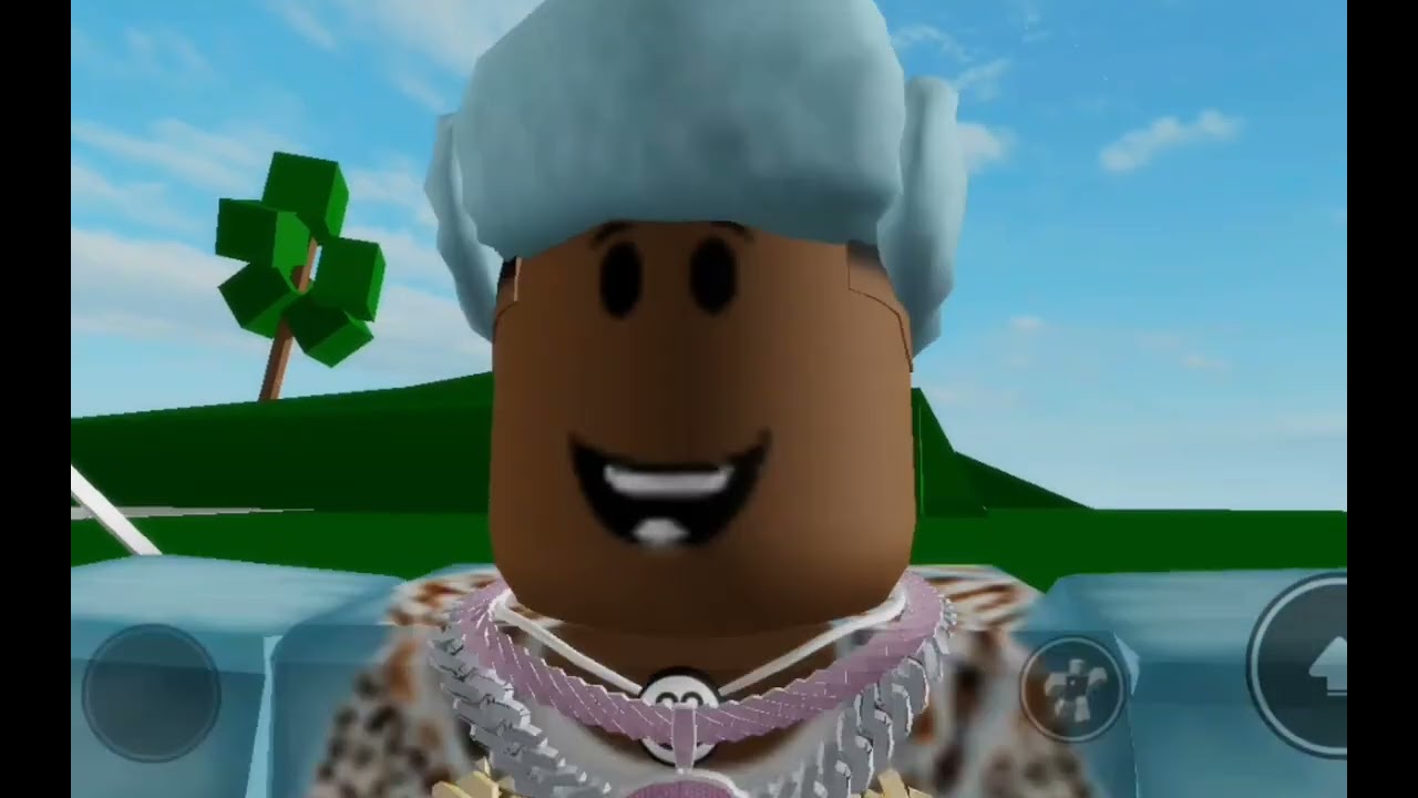 Sorry not sorry in brookhaven