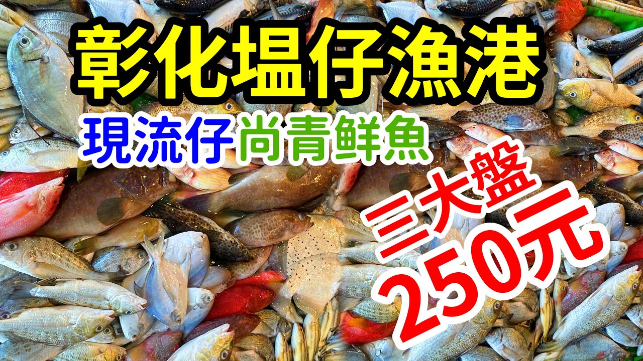 彰化塭仔漁港｜買500元海鮮提到手酸｜現場現流現做的魚翅｜Changhua Yizai Fishing Port