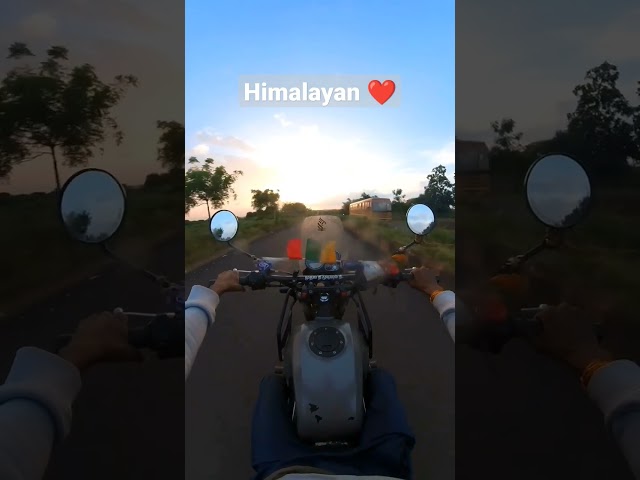 Himalayan ❤️ #shorts #youtubeshorts #himalayan