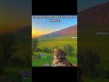 #dailyshorts 8/10 #peace #relaxation #love #freedom