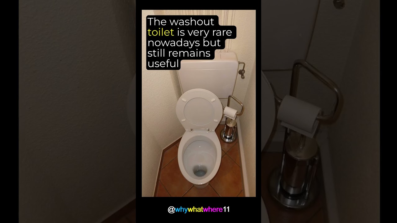 What is wrong with the Dutch toilet?