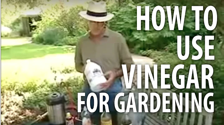 How To Use Vinegar For Gardening - The Dirt Doctor