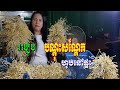 Vlog 0195 l របៀបបណ្តុះសណ្តែកហូបនៅផ្ទះ