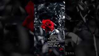 Sonra Mı..? Sonrası Ziyan. Şfet