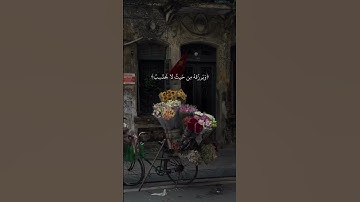 ومن يتق الله يجعل له مخرجًا | تلاوة خاشعة مؤثرة | Quran - المنشاوي رحمه الله