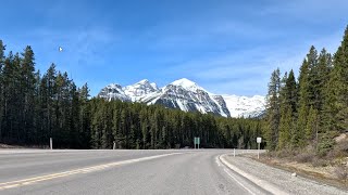 4x Stellar cycling from Banff to Lake Louise