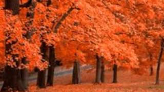 Tormentone Autunno 2014 Part. 1