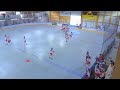 2024 World Ball Hockey Championship: Czechia Women vs. USA Women (Group Play)