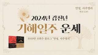 2024년 갑진년 기해일주 운세
