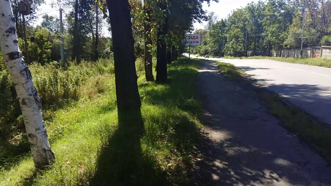 заросли травы в районе завода "Дальдизель" - YouTube